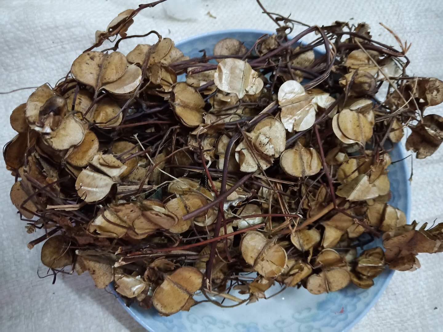 客家百草堂野生风车子/风车叶/四角风/治耳鸣耳响250克包邮