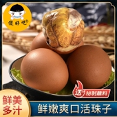 大个红壳活珠子毛蛋钢化蛋特产