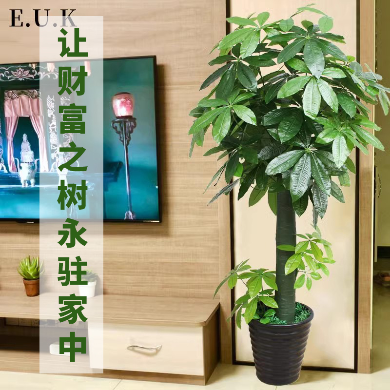 永不凋零发财树，将财富稳固定格