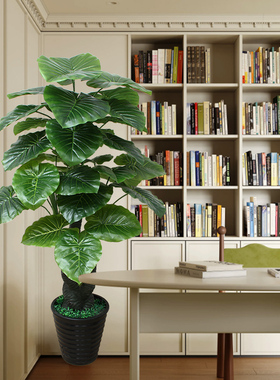 仿真植物盆景防真花客厅花假树装饰室内摆件大型绿植滴水观音盆栽