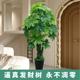 假花彷真发财树室内装 饰假植物盆栽客厅大型彷生绿植塑料盆景造景