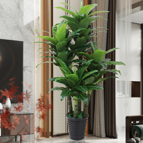 仿真植物不会枯萎无需打理