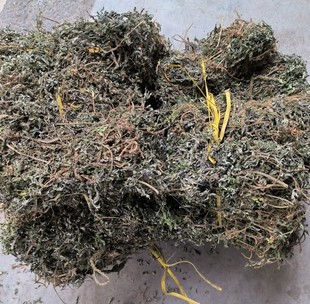 艾草 整颗带根艾叶 坐月洗澡泡脚 广东山区野生五月艾 25年五月艾