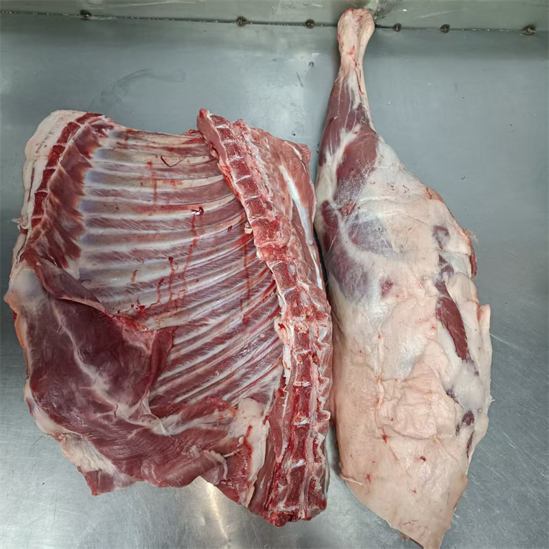 河南黄河滩羊肉质鲜嫩不膻不柴