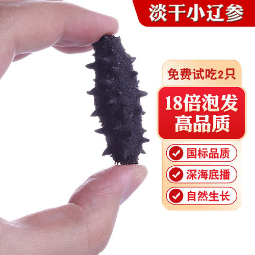 昊海升大连纯淡干小海参干货50g