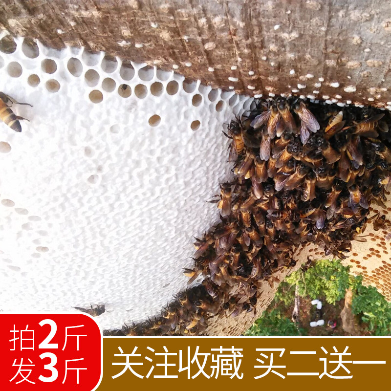 云南深山老林野生蜂蜜百花蜜天然