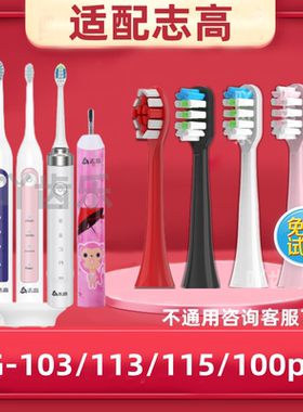 通用志高电动牙刷头CG-103/113/115/100pro/107/109/111替换dy12