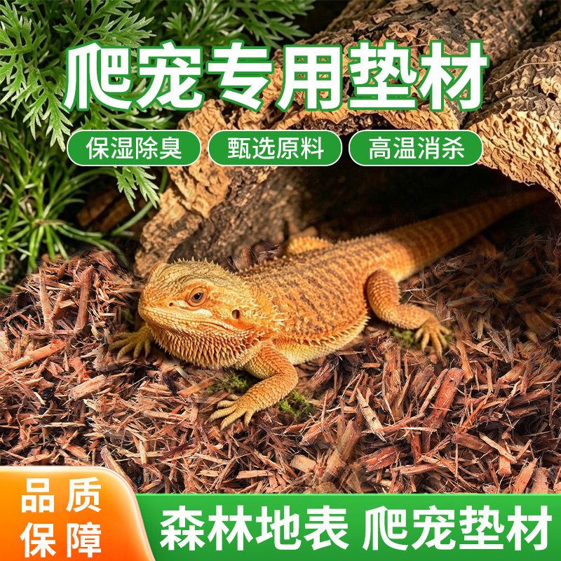森林地表Zoomed保湿雨林垫料透气保湿除臭垫材守宫陆龟鬃师造景
