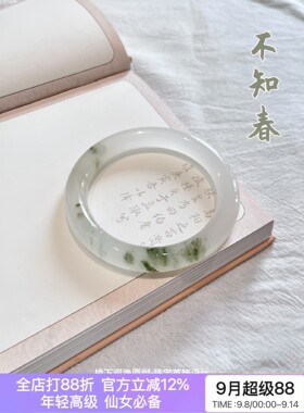 天然新疆天山翠玉手镯雪翠冰糯种半山水晕染飘花细圆条玉镯子女款