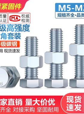 8.8外六角螺丝螺母套装大全高强度镀锌外六角螺栓加长M6M8M10M124