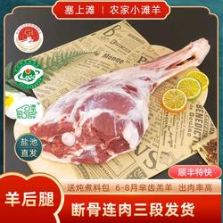 羊腿新鲜4斤整只宁夏盐池滩羊肉生羊腿烤羊腿烧烤食材羔羊腿中秋
