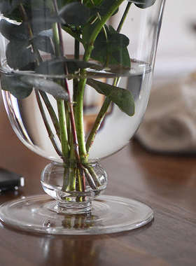 介直 Big Vase高透玻璃大号花瓶 法式中古感鲜切插花透明家居摆件