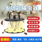 家用 现货 果蝇诱捕器 trap 飞虫苍蝇捕捉器 fruit fly