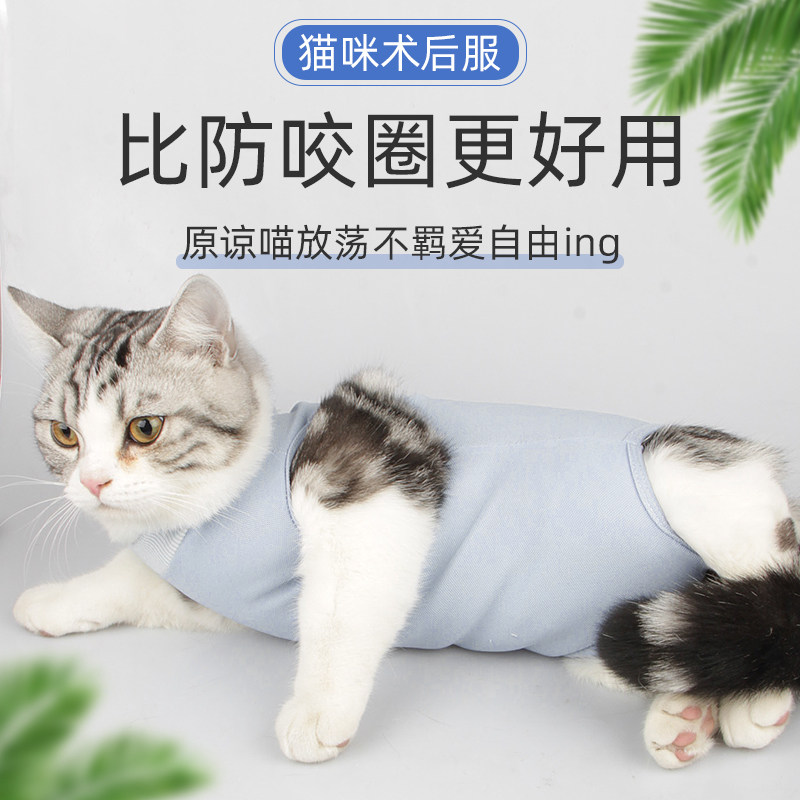 猫咪手术服母猫绝育服猫咪术后服断奶服术后防舔透气薄款宠物衣服