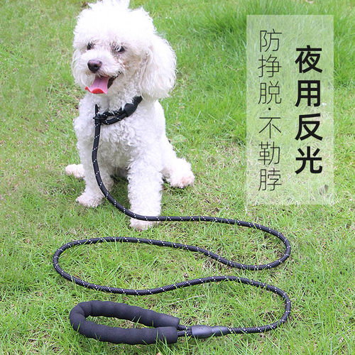 狗绳狗狗牵引绳狗链子防爆冲p绳柯基小中型大型犬遛狗绳狗狗用品 - 封面