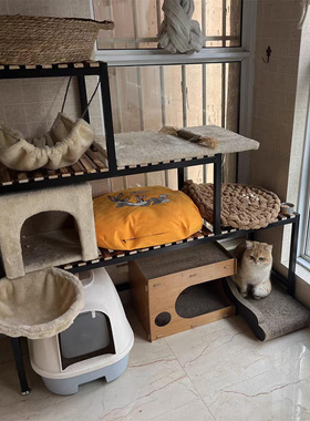 猫爬架猫砂盆置物架多层宠物用品收纳阳台猫咪阶梯猫窝笼鱼缸架子