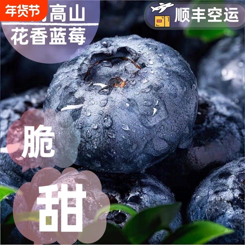 云南蓝莓鲜果新鲜高端水果当季大果高山25花香孕妇整箱包邮空运,包装,水果包装,淘宝优惠券,粉丝福利购,淘宝优惠卷