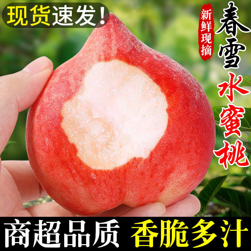 春雪水蜜桃5斤新鲜桃子当