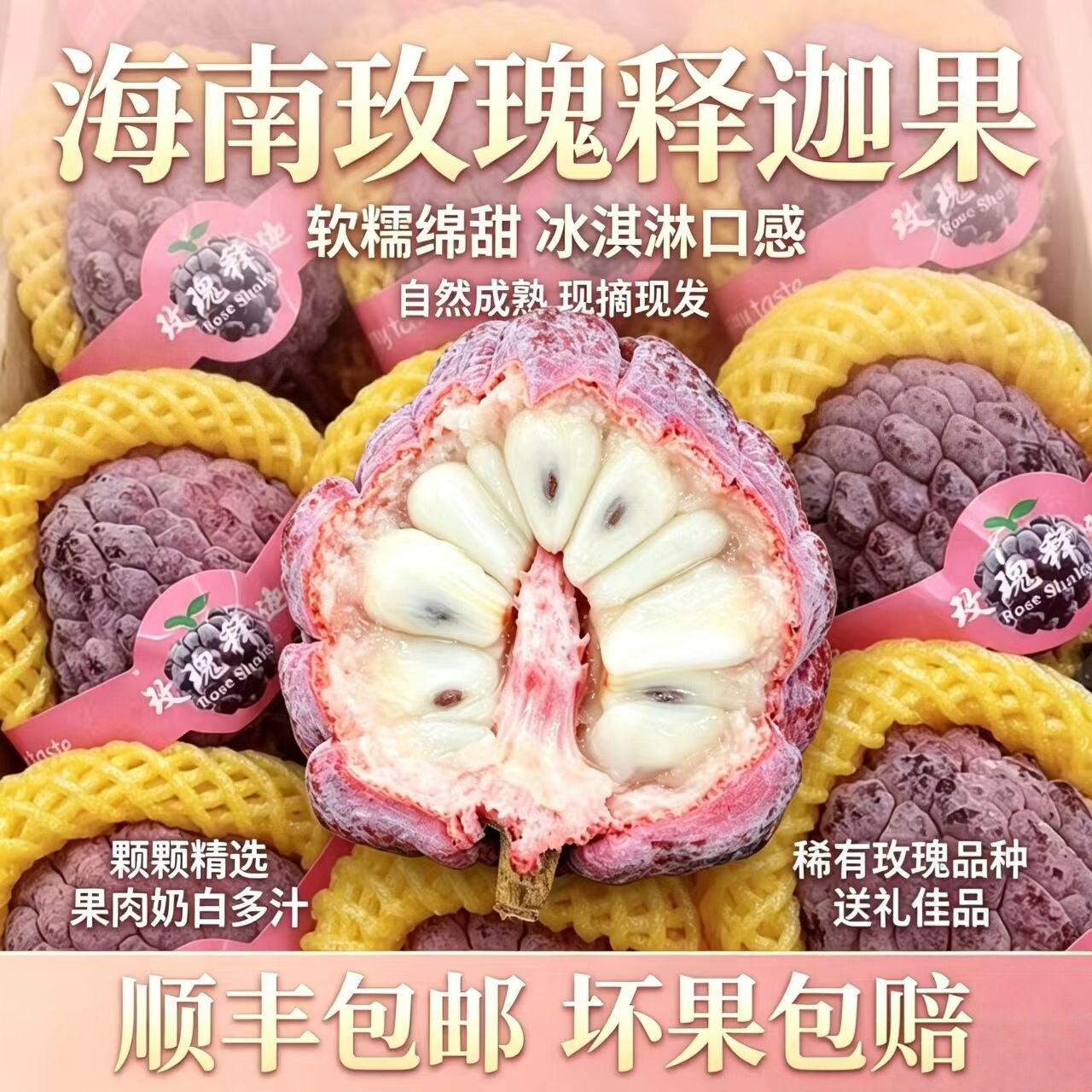 【顺丰现货】海南玫瑰红
