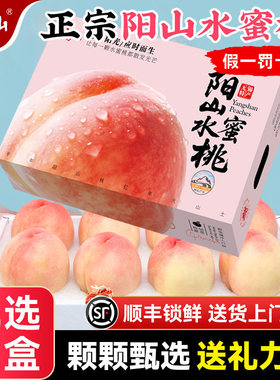 【限定礼盒】正宗无锡阳山水蜜桃子新鲜水果当季整箱湖景白凤毛桃