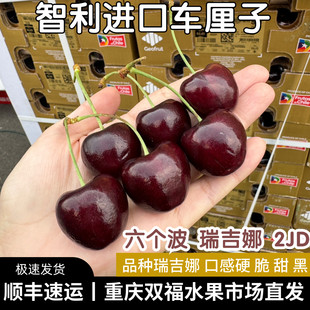 六个波2JD瑞吉娜黑车智利进口车厘子原箱5斤10斤礼盒装瑞姬娜双福