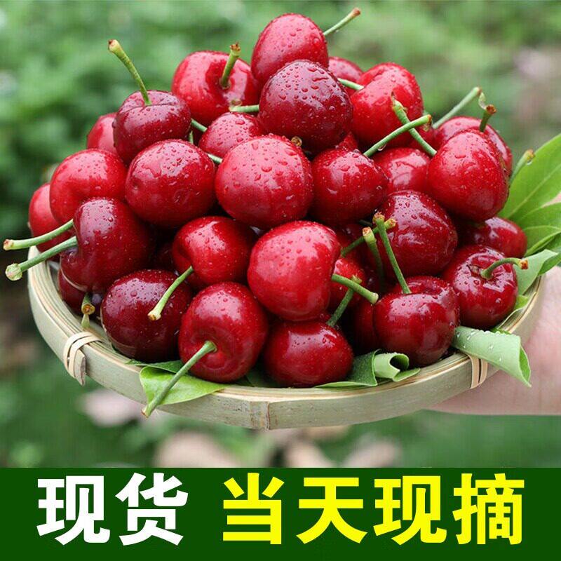 （酸甜口感）红灯大樱桃