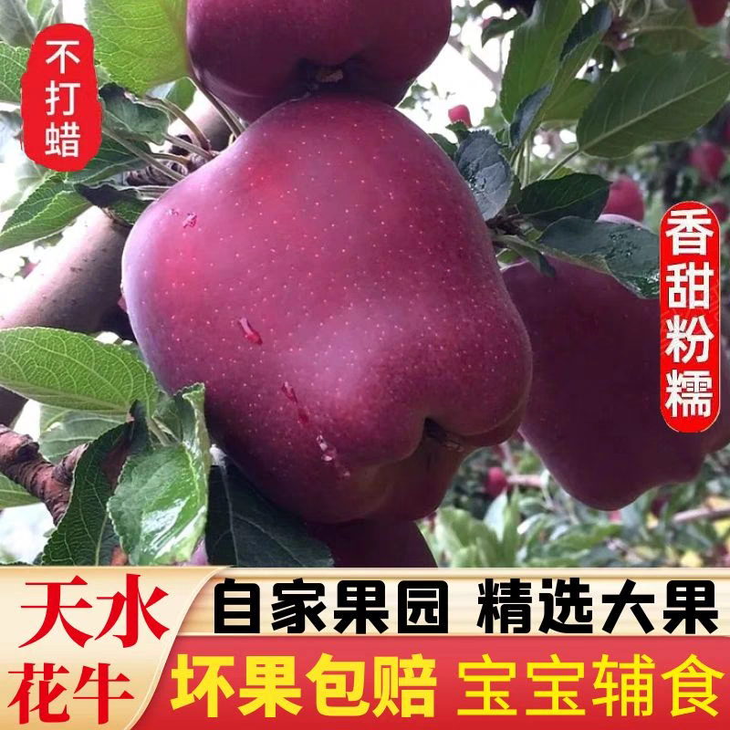 甘肃天水正宗花牛苹果新鲜水果当季整箱包邮宝宝刮泥花牛粉面果,包装,水果包装,淘宝优惠券,粉丝福利购,淘宝优惠卷