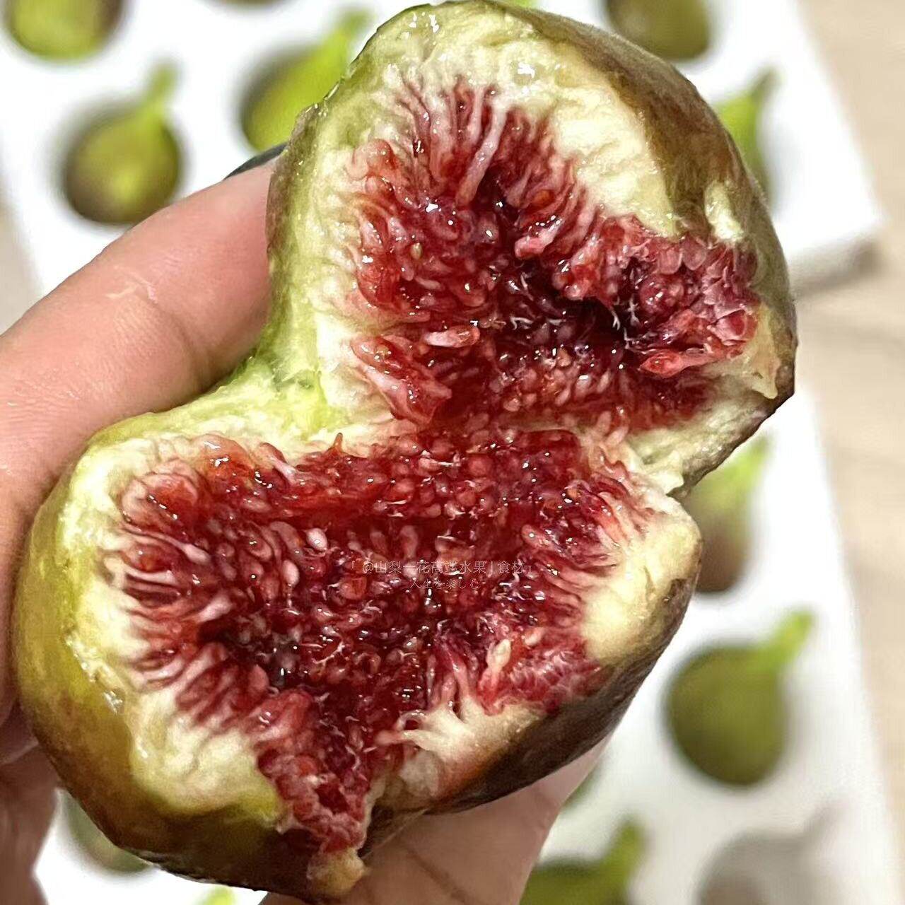 现货花香密无花果波姬红青红皮新鲜水果芭劳奈天然糖包子顺丰超甜