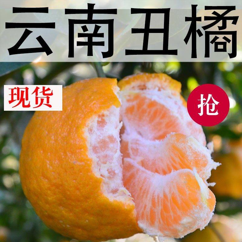 云南高山丑橘桔子丑八怪新鲜现摘应季水果高山老品种味道浓郁,包装,水果包装,淘宝优惠券,粉丝福利购,淘宝优惠卷