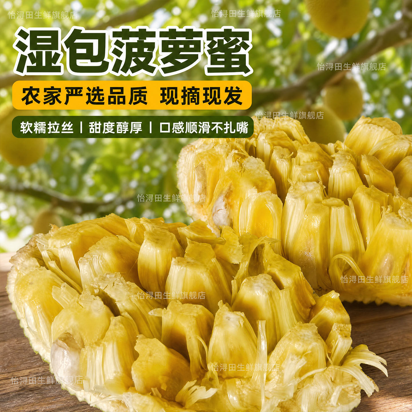 广西湿苞菠萝蜜新鲜榴莲