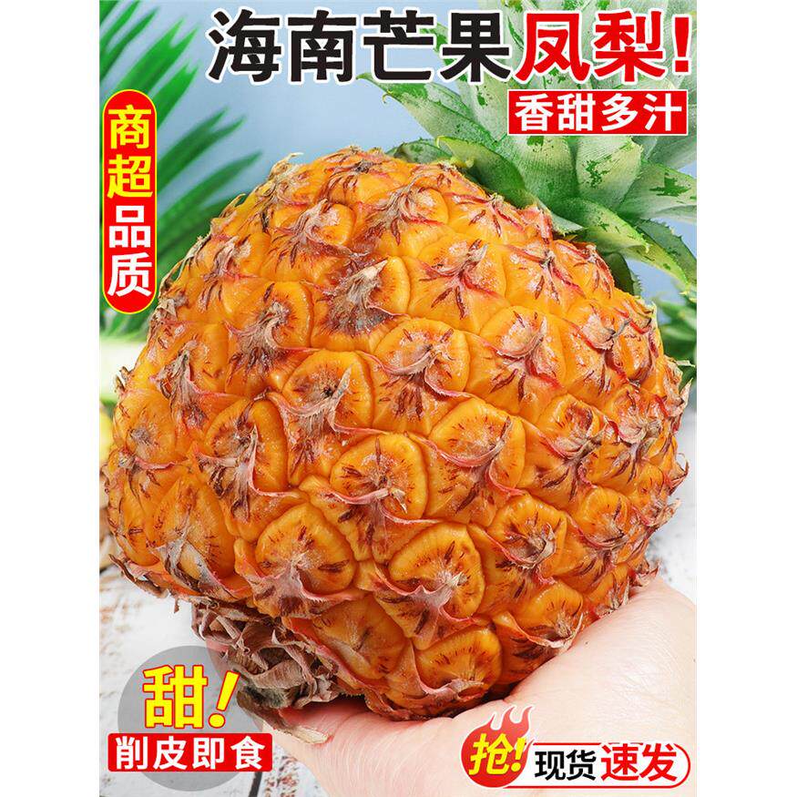 正宗海南芒果凤梨8斤当季新鲜水果现摘金钻香水凤梨甜菠萝自然熟3