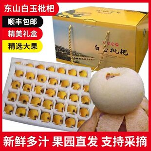 超甜 苏州东山白玉枇杷白沙枇杷现摘5斤大果新鲜水果顺丰礼盒装