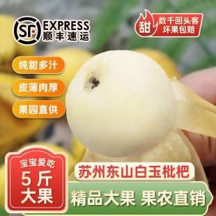 大果正宗苏州东山白玉枇杷5斤新鲜水果孕妇白枇杷果礼盒顺丰