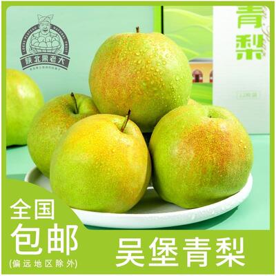 陕西特产吴堡青梨新精品