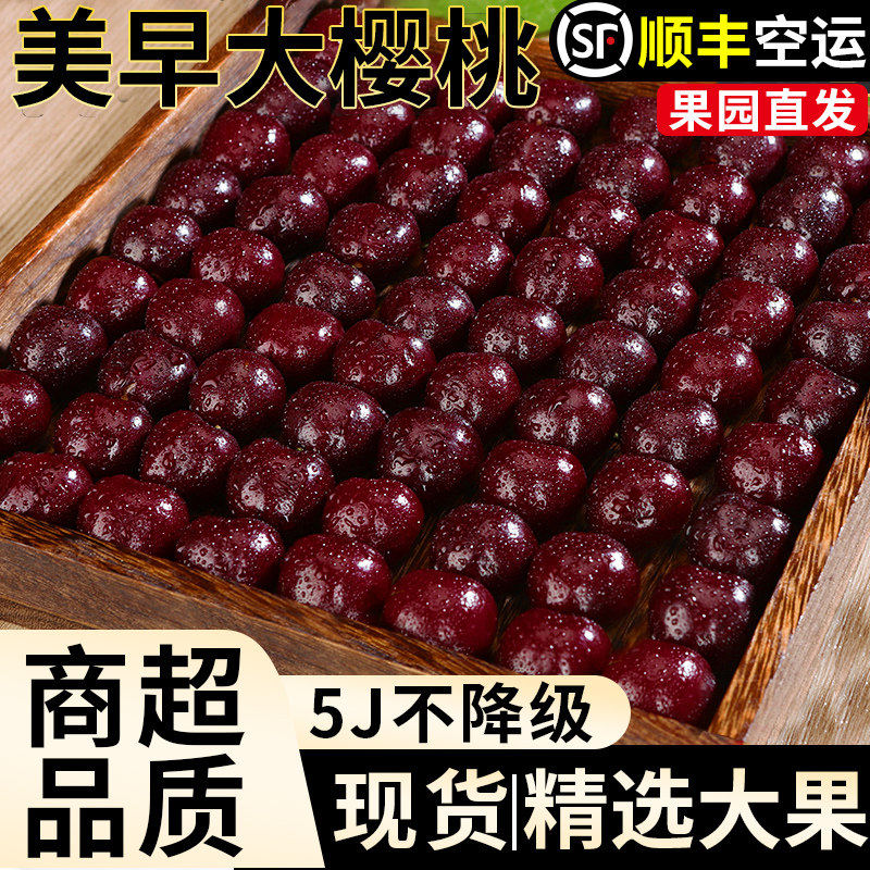顺丰美早大樱桃新鲜水果5