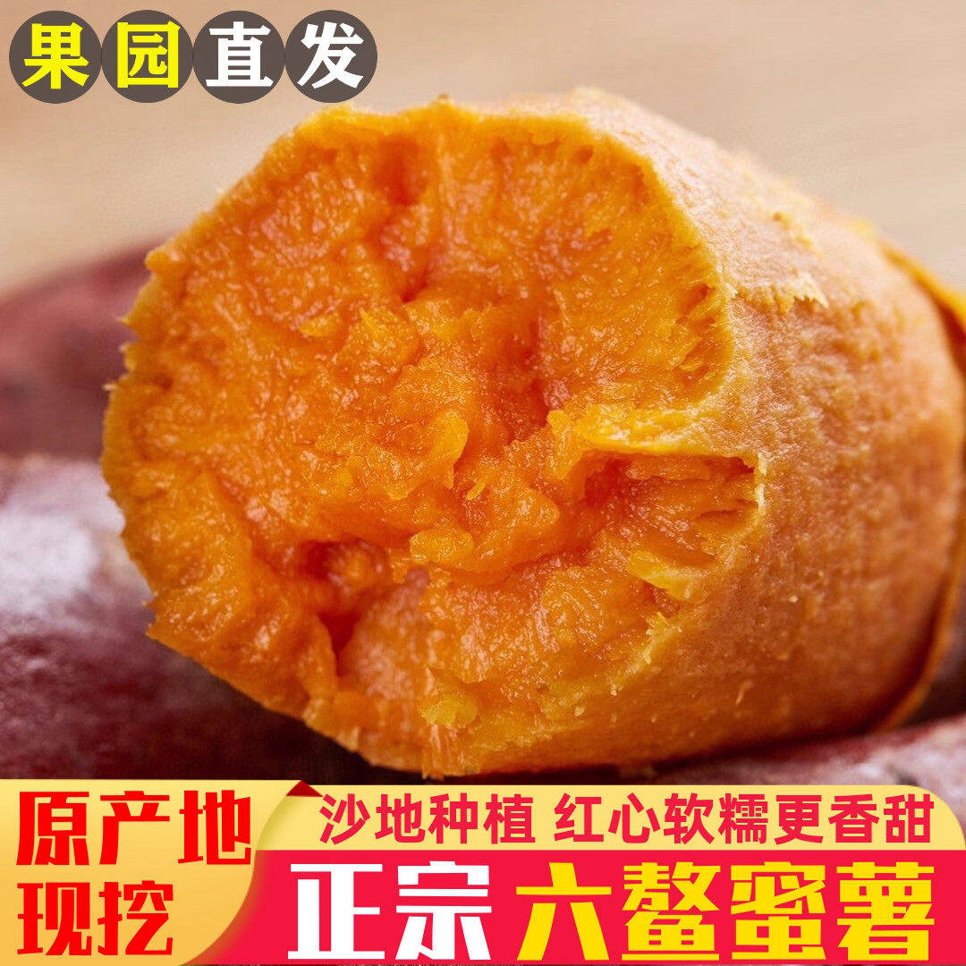 正宗红薯福建漳州六鳌蜜