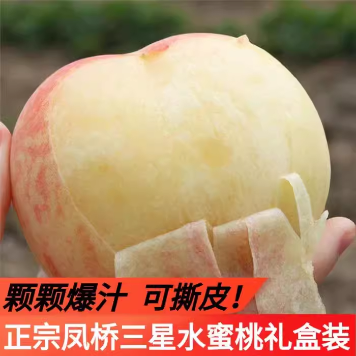 嘉兴凤桥三星水蜜桃超大