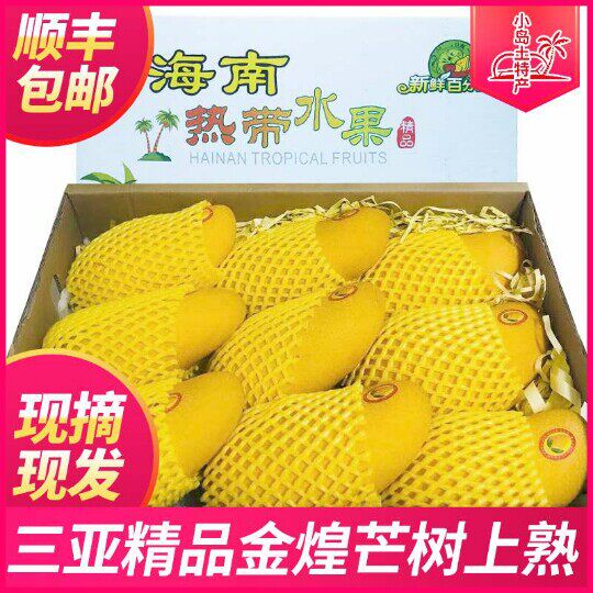 顺丰包邮三亚金煌芒南田