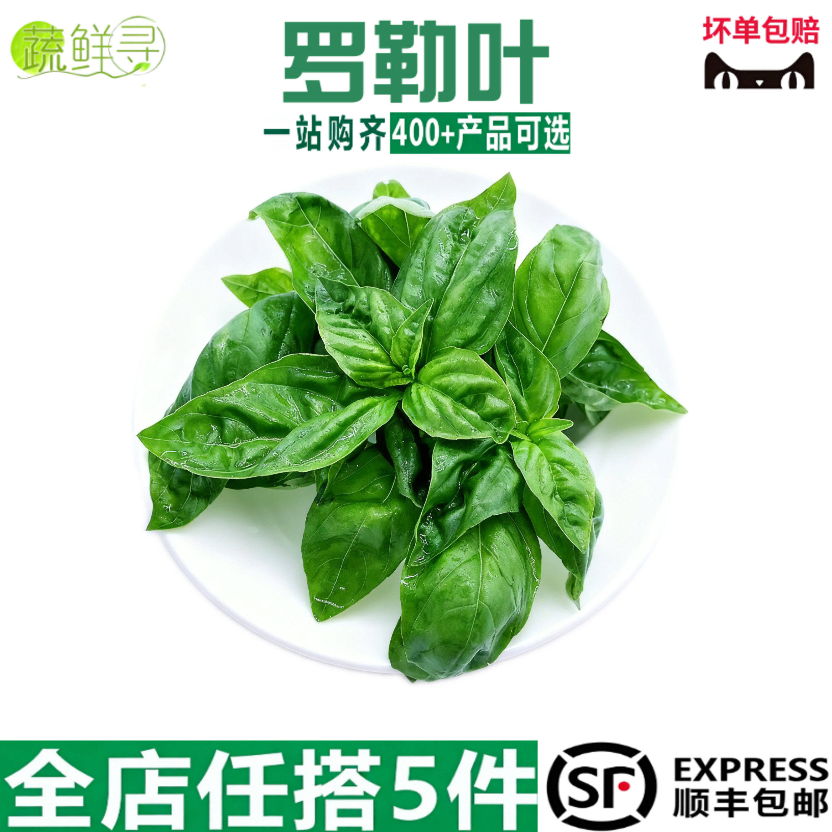 新鲜罗勒叶食用西餐香料