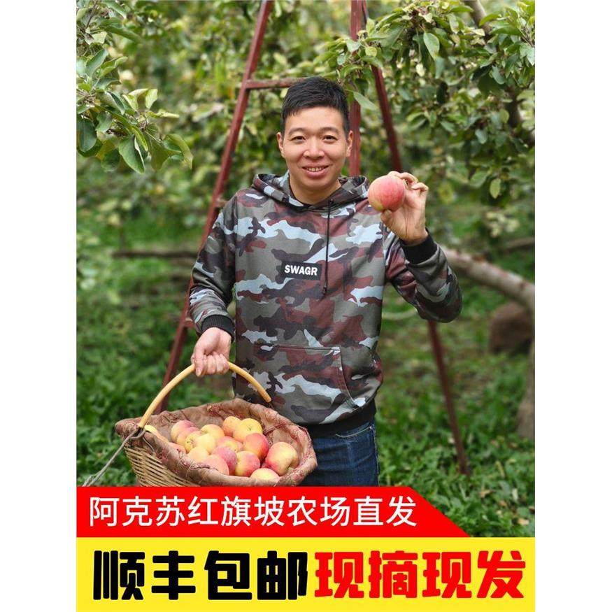 子枫25年正宗新疆阿克苏红旗坡冰糖心苹果礼盒装新鲜现摘孕妇水果,包装,水果包装,淘宝优惠券,粉丝福利购,淘宝优惠卷