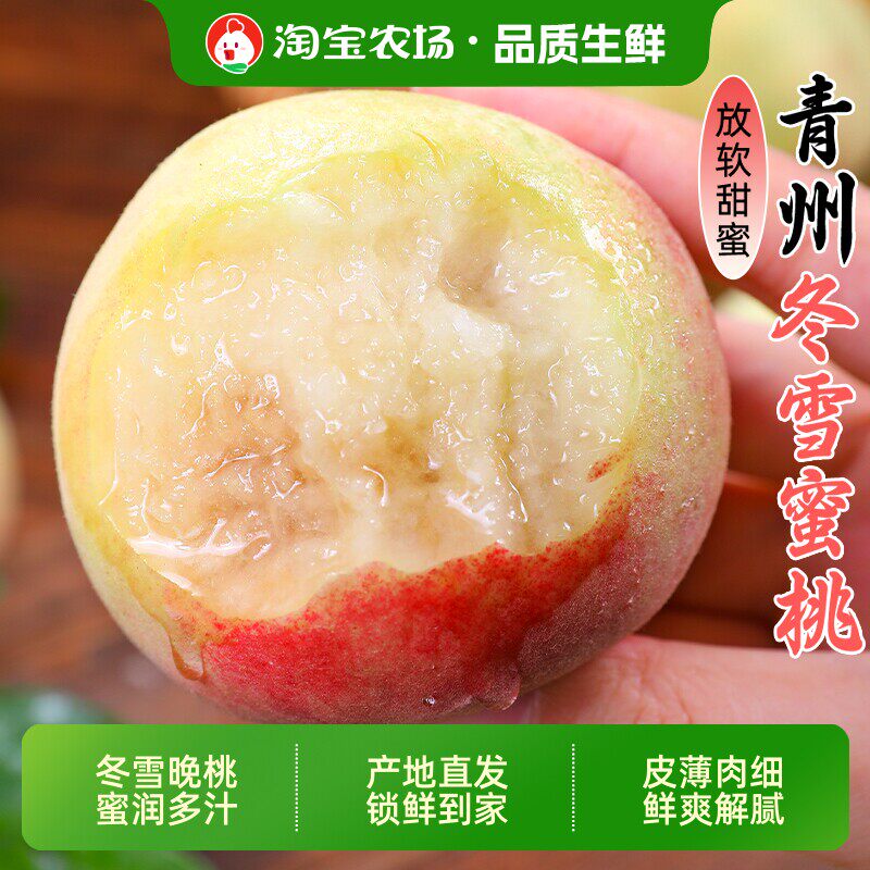 正宗青州蜜桃山东水蜜桃新鲜桃子时令水果当季现摘整箱小脆桃包邮