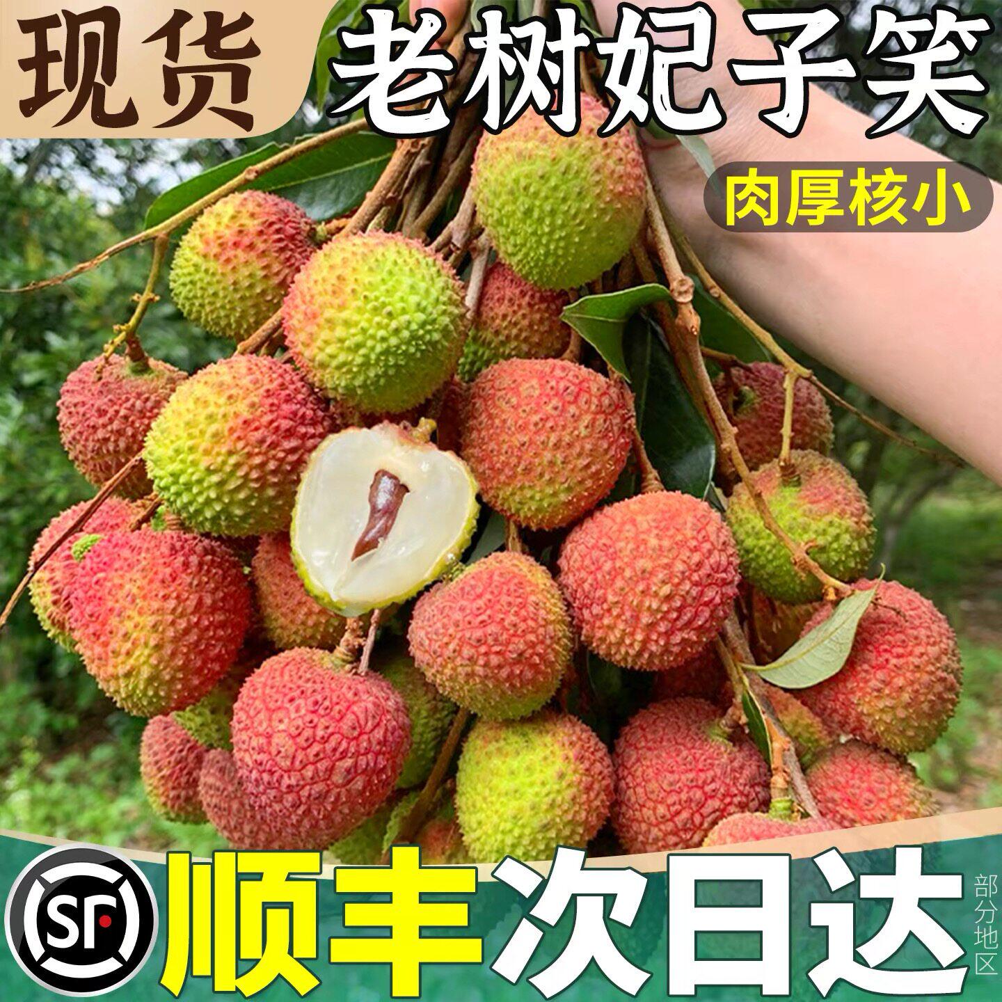 2026广东妃子笑荔枝新鲜