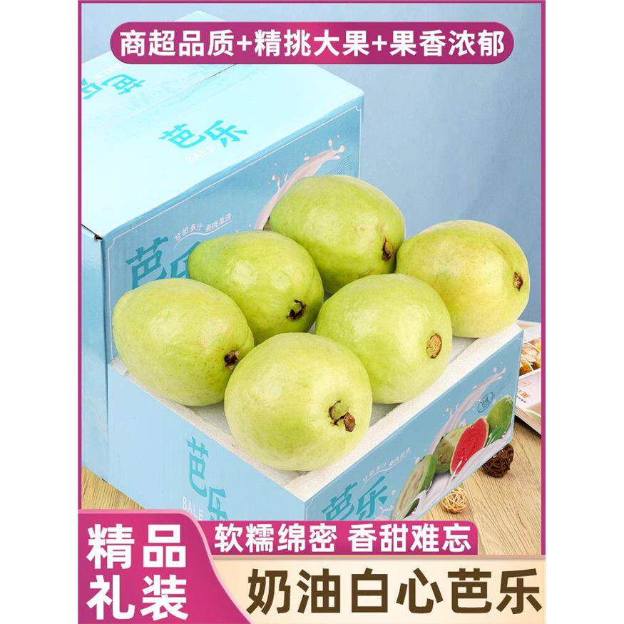 顺丰10斤白心软芭乐水果新鲜包邮番石榴低糖奶油鲜果福建当季整箱