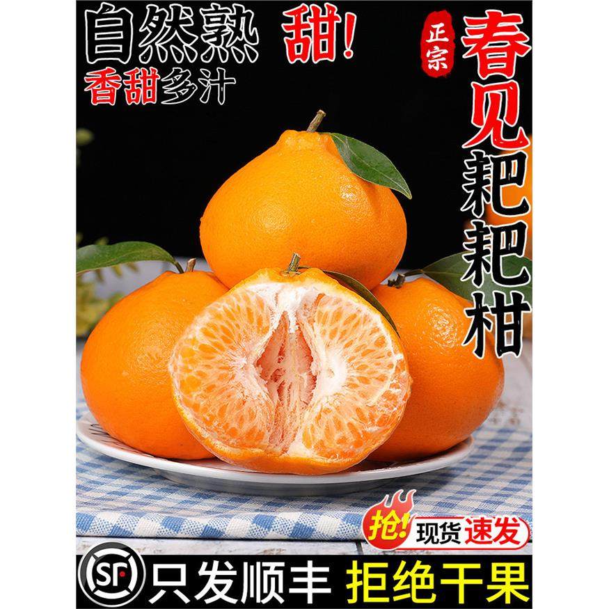 顺丰正宗四川春见耙耙柑新鲜橘子当季水果现摘丑粑粑柑丑柑桔大果,包装,水果包装,淘宝优惠券,粉丝福利购,淘宝优惠卷