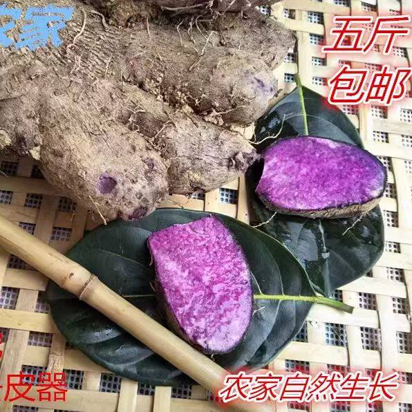 广西玉林紫山药新鲜5斤脚