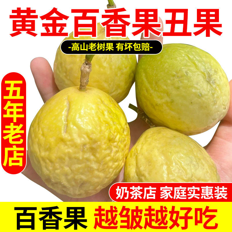 钦蜜9号黄金果纯甜广西黄金百香果新鲜水果现摘应季皱皮百香果