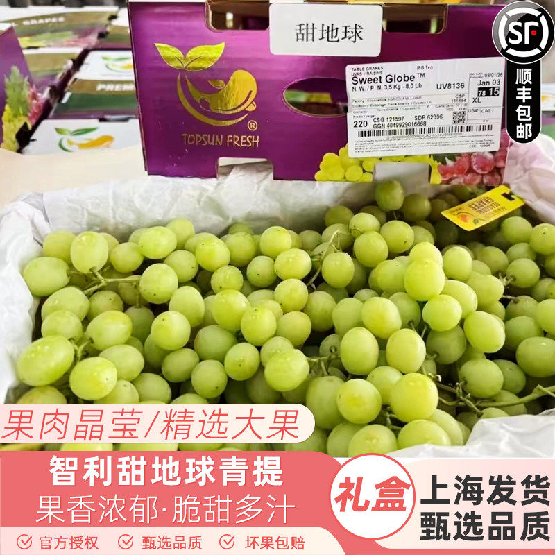 智利甜地球青提子绿葡萄