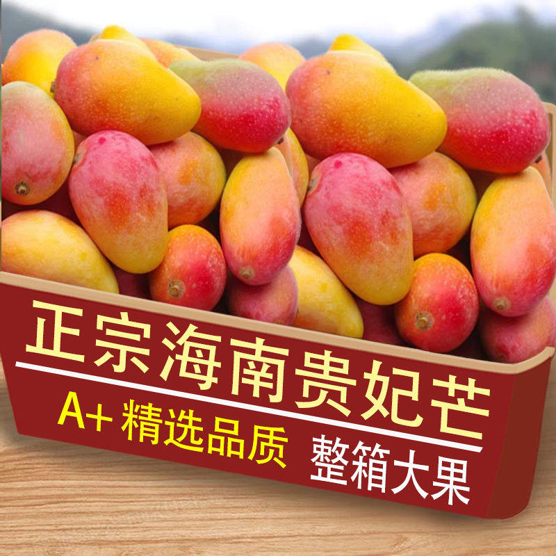 海南贵妃芒9斤芒果新鲜水果当季整箱树上熟红金玉青煌大辣椒台芒