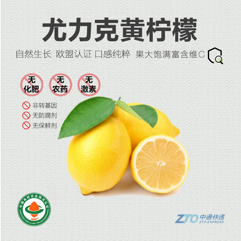 有机黄柠檬自然露天生长