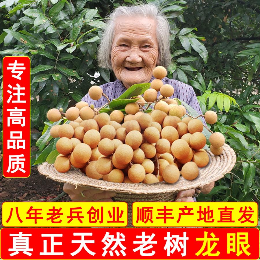 龙眼新鲜2026当季特大果